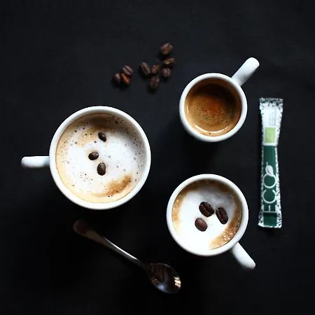 فندق The *